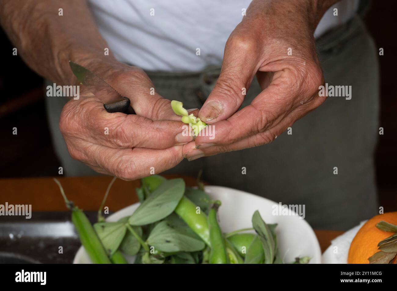 Italien, Tyrrhenische See, Lipari-Inseln / Äolische Inseln, Salina, Hotel Signum, Michele kocht Pasta e Fave Stockfoto