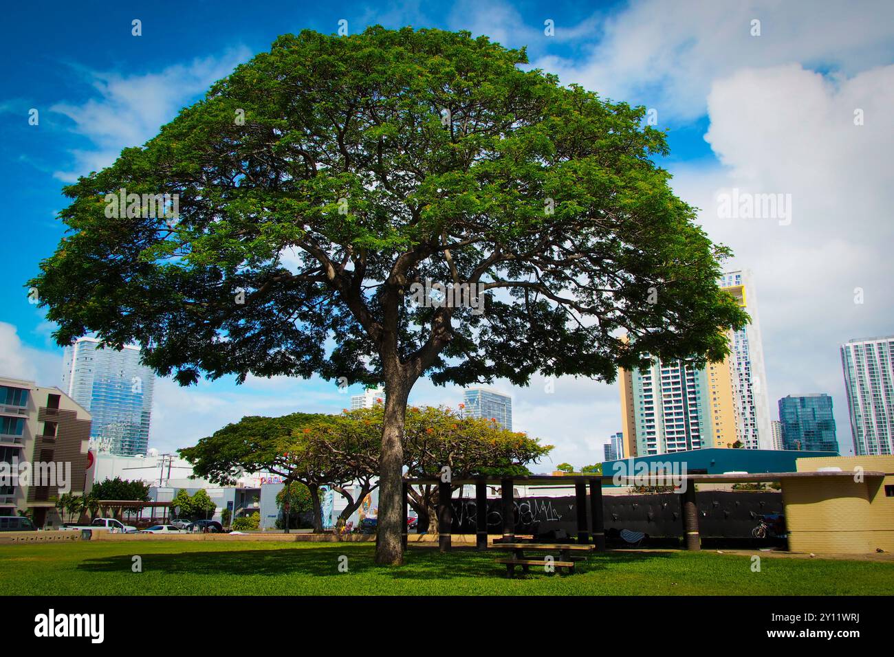 Honolulu, Oahu, Hawaii. Honolulu Downtown Ala Moana Park. Bezirk Kakaako. Juni 2023 Stockfoto