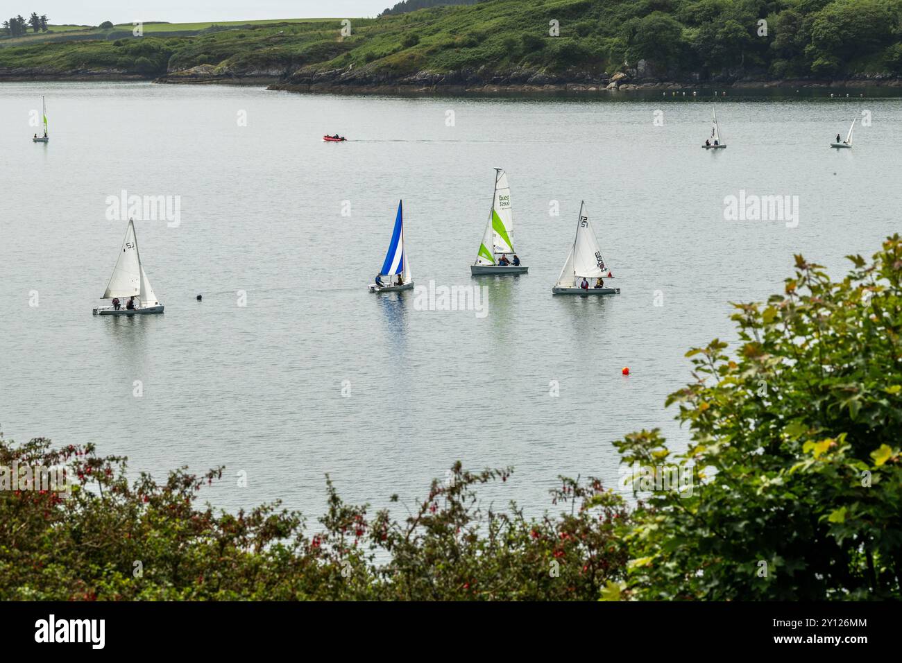 Mitglieder des Glandore Harbour Yacht Clubs segeln in West Cork, Irland. Stockfoto