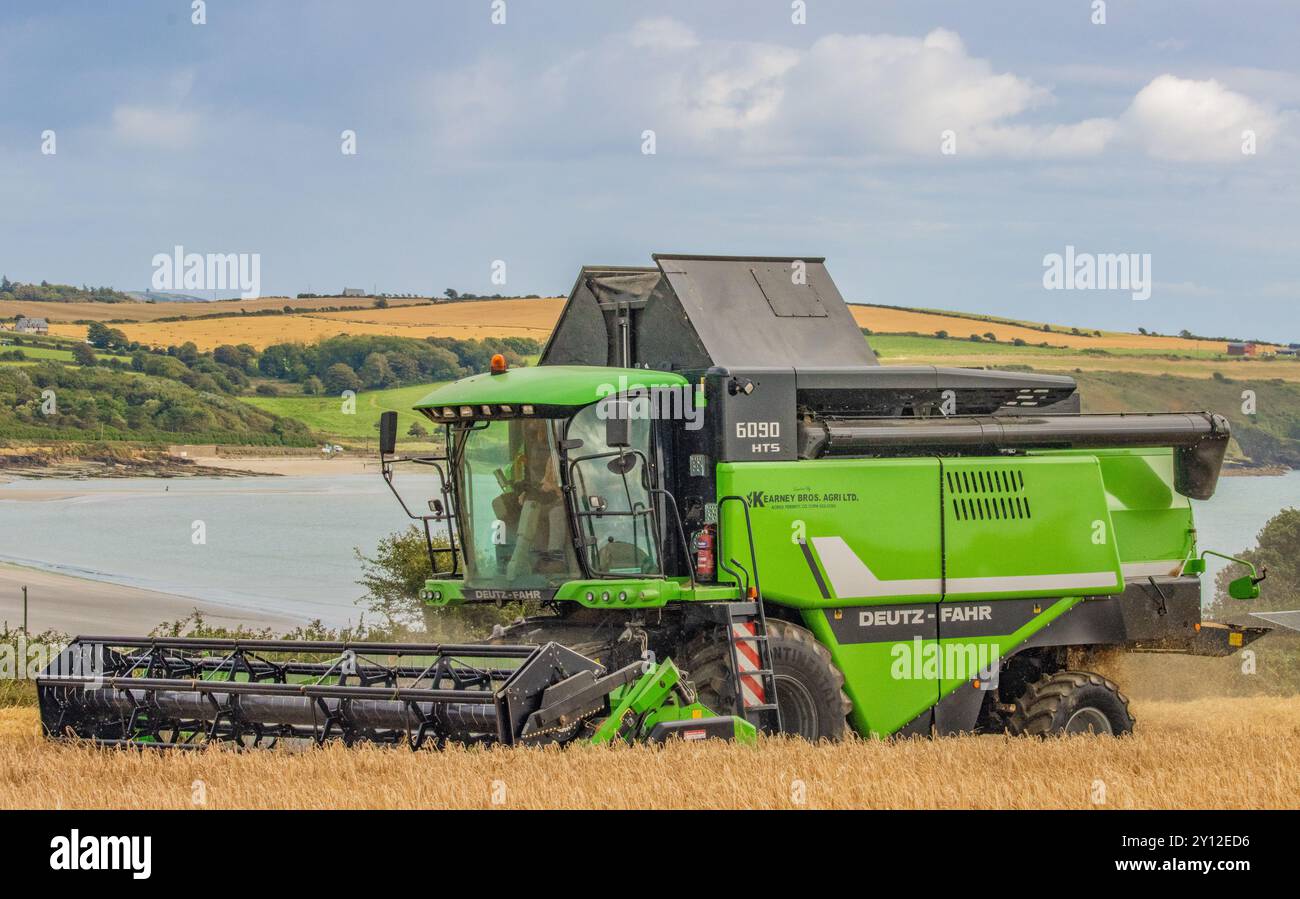 Ernte der Frühlingsgerste bei Harbour View, Kilbrittain, Co. Cork, September 2024 Stockfoto