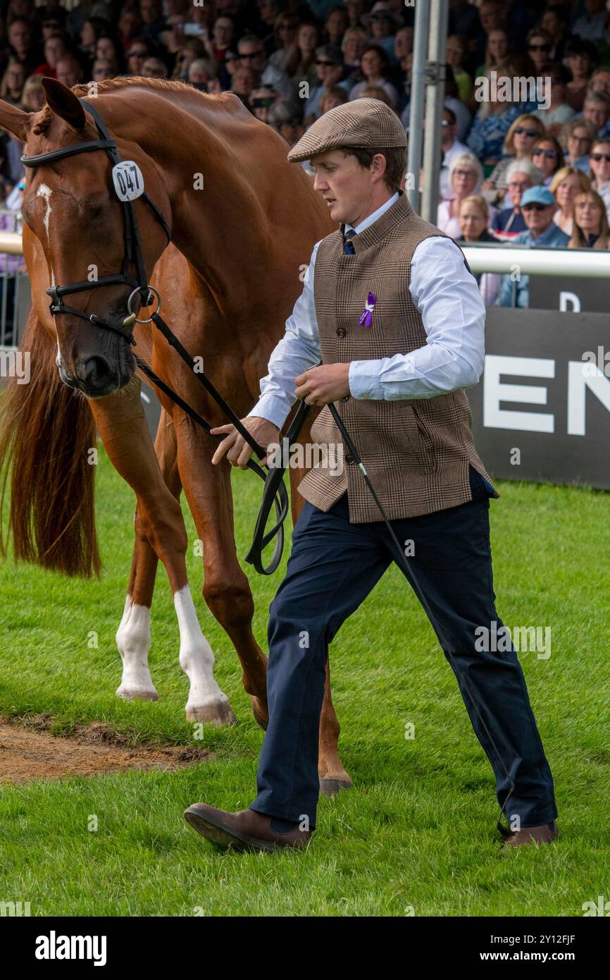 Stamford, Großbritannien. September 2024. Tom McEwen und CHF Cooliser vertraten Großbritannien bei der First Horse Inspection bei den Defender Burghley Horse Trials 2024 auf dem Gelände von Burghley House in Stamford, Lincolnshire, England. Quelle: Jonathan Clarke/Alamy Live News Stockfoto