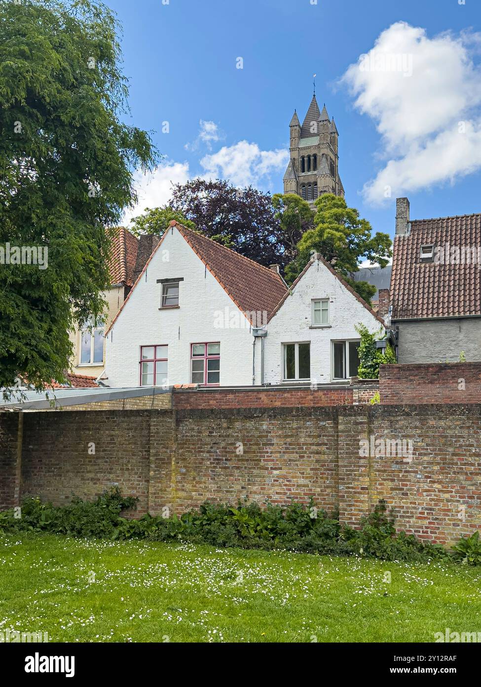 Brügge, Flandern, Belgien - 22. Juni 2024: Turm der Kathedrale Saint Salvator vom alten Garten des St. Jan Krankenhauses aus gesehen, über Häusern mit weißer Fassade Stockfoto