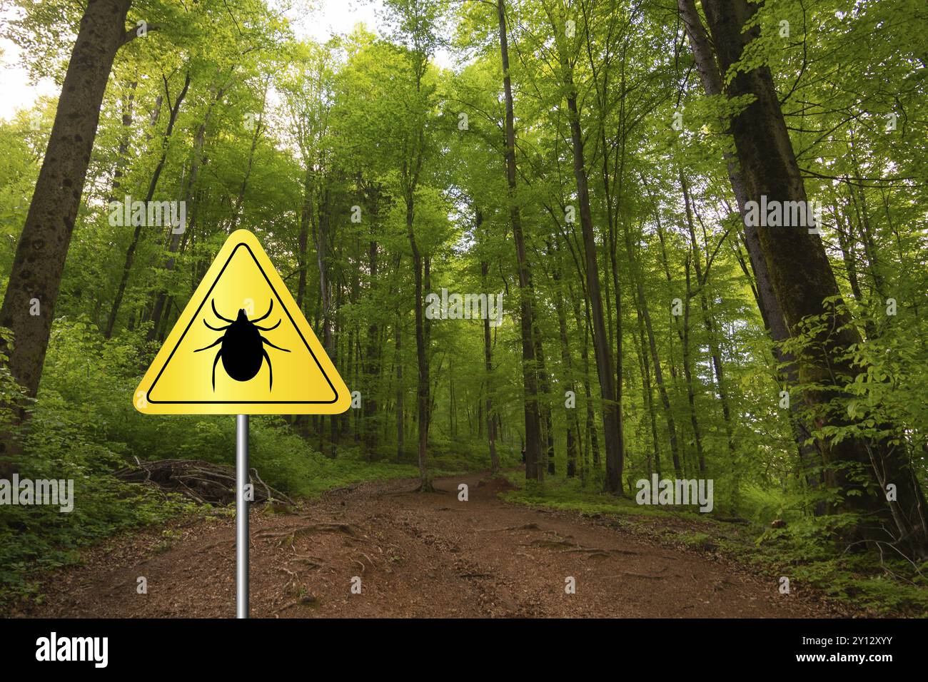 Zeckeninsektenwarnschild im Naturwald. Lyme-Borreliose und Zeckenübertrager für Meningoenzephalitis Stockfoto