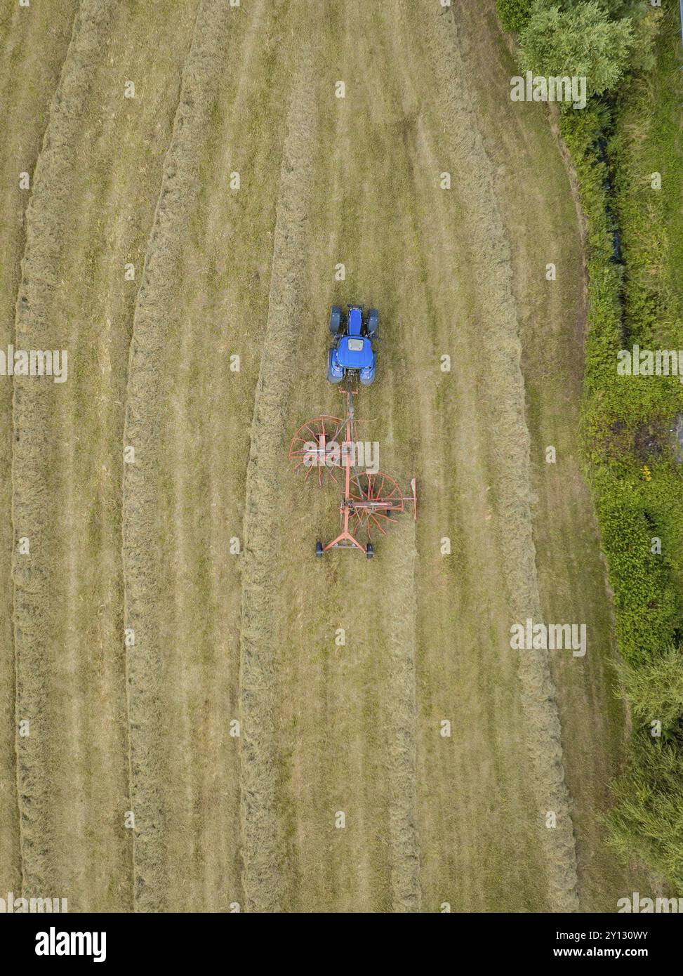 Aus der Vogelperspektive eines Traktors mit einem heuschneider auf einem Heufeld, umgeben von Bäumen und einer Landstraße, Dachtel. Schwarzwald, Deutschland, Europa Stockfoto