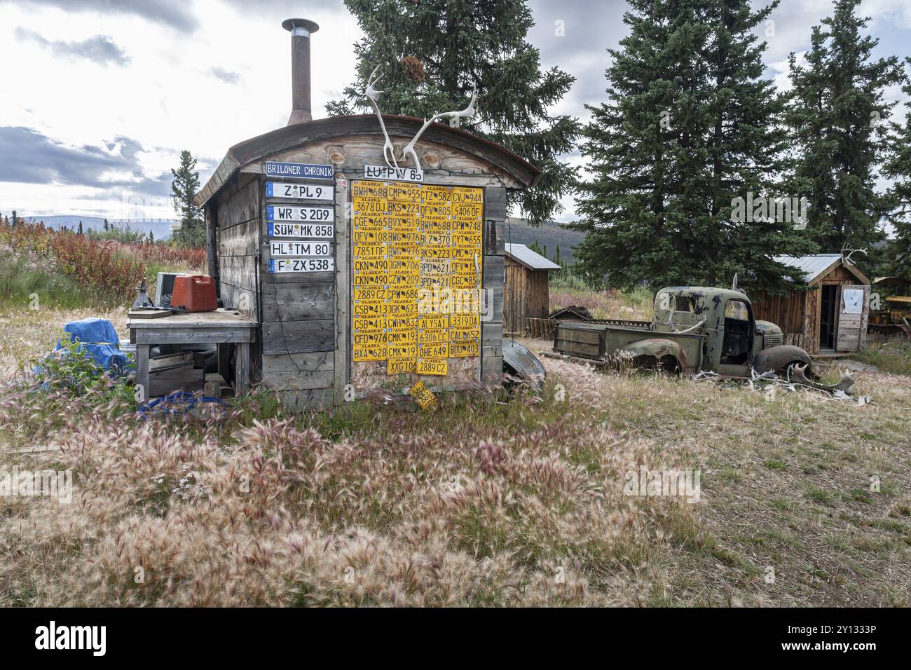 Lustige Holzhütte mit Autokennzeichen, Sammlung, Top of the World Highway, Alaska, USA, Nordamerika Stockfoto