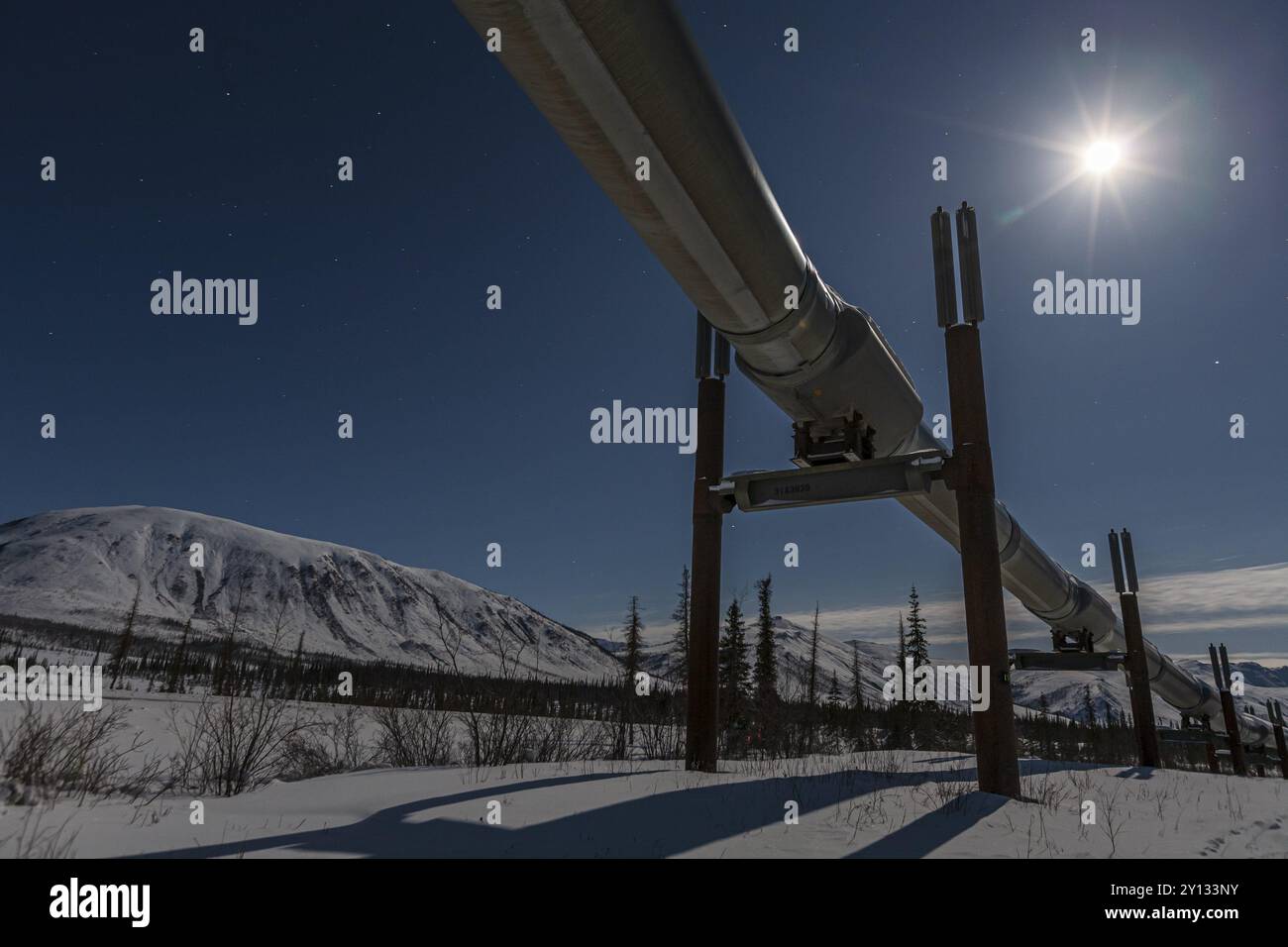 Ölproduktion in der Arktis, Trans Alaska Pipeline, Vollmond, Nachtaufnahme, Winter, Dalton Highway, Alaska, USA, Nordamerika Stockfoto