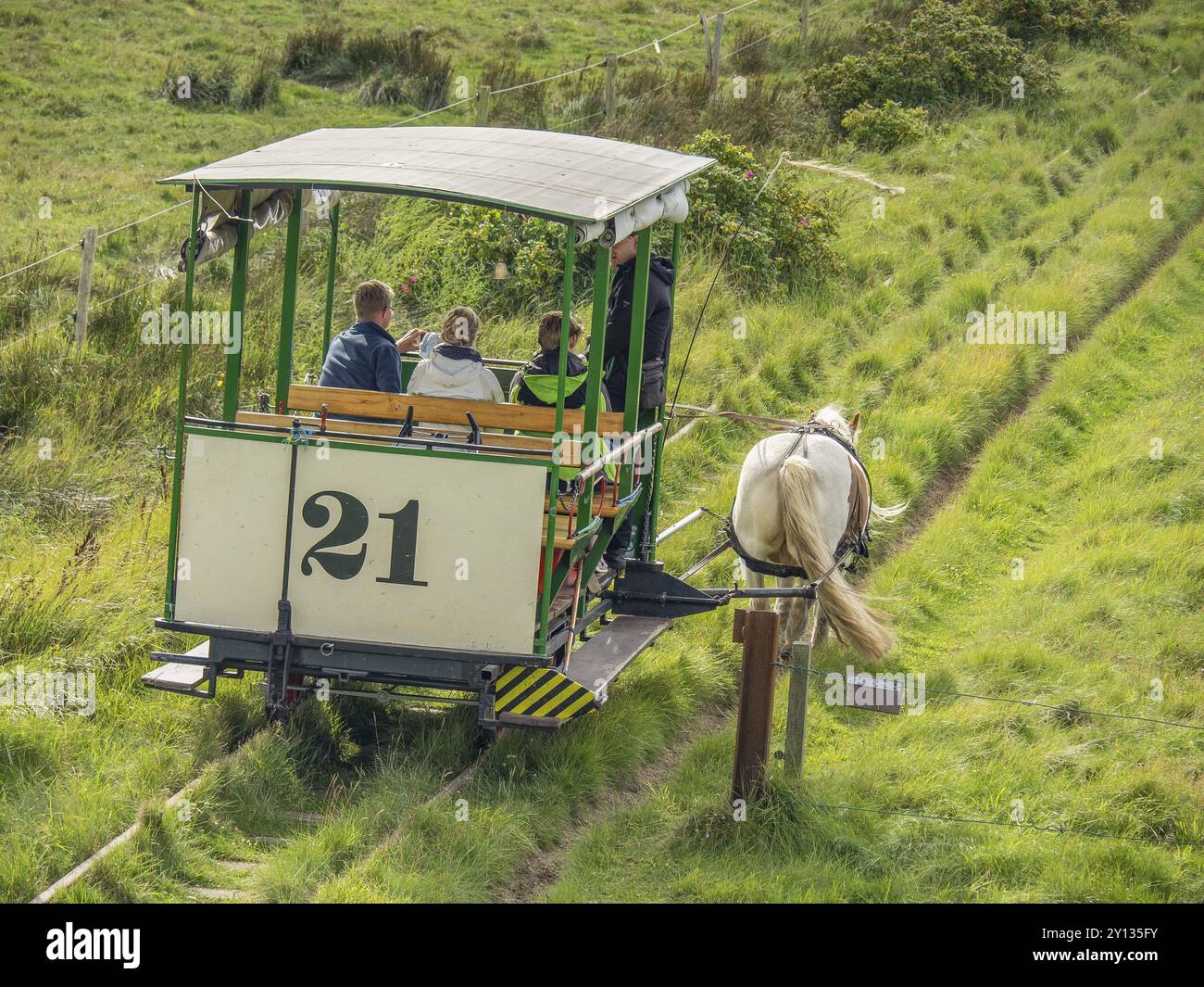 Die Pferdebahn verläuft auf einem Gleis mit grüner Landschaft im Hintergrund, spiekeroog, ostfriesland, Nordsee, deutschland Stockfoto
