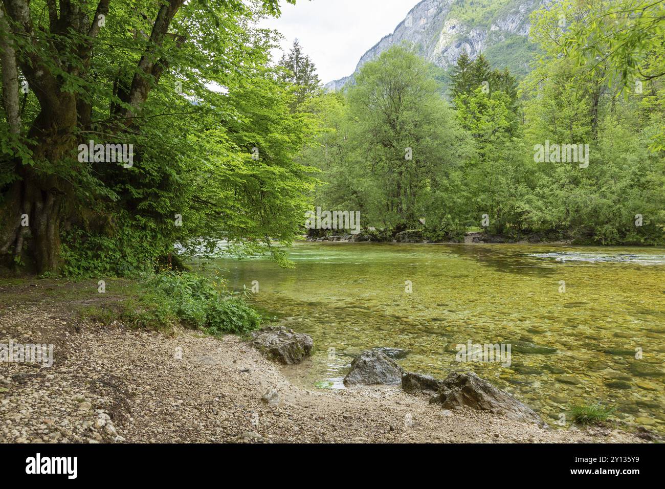 Farbenfrohes Frühlingspanorama des Flusses Sava bohinjka im Dorf Bohinj am See Ukanc. Malerische Monsterszene im Triglav-Nationalpark, Julischen Alpen Stockfoto