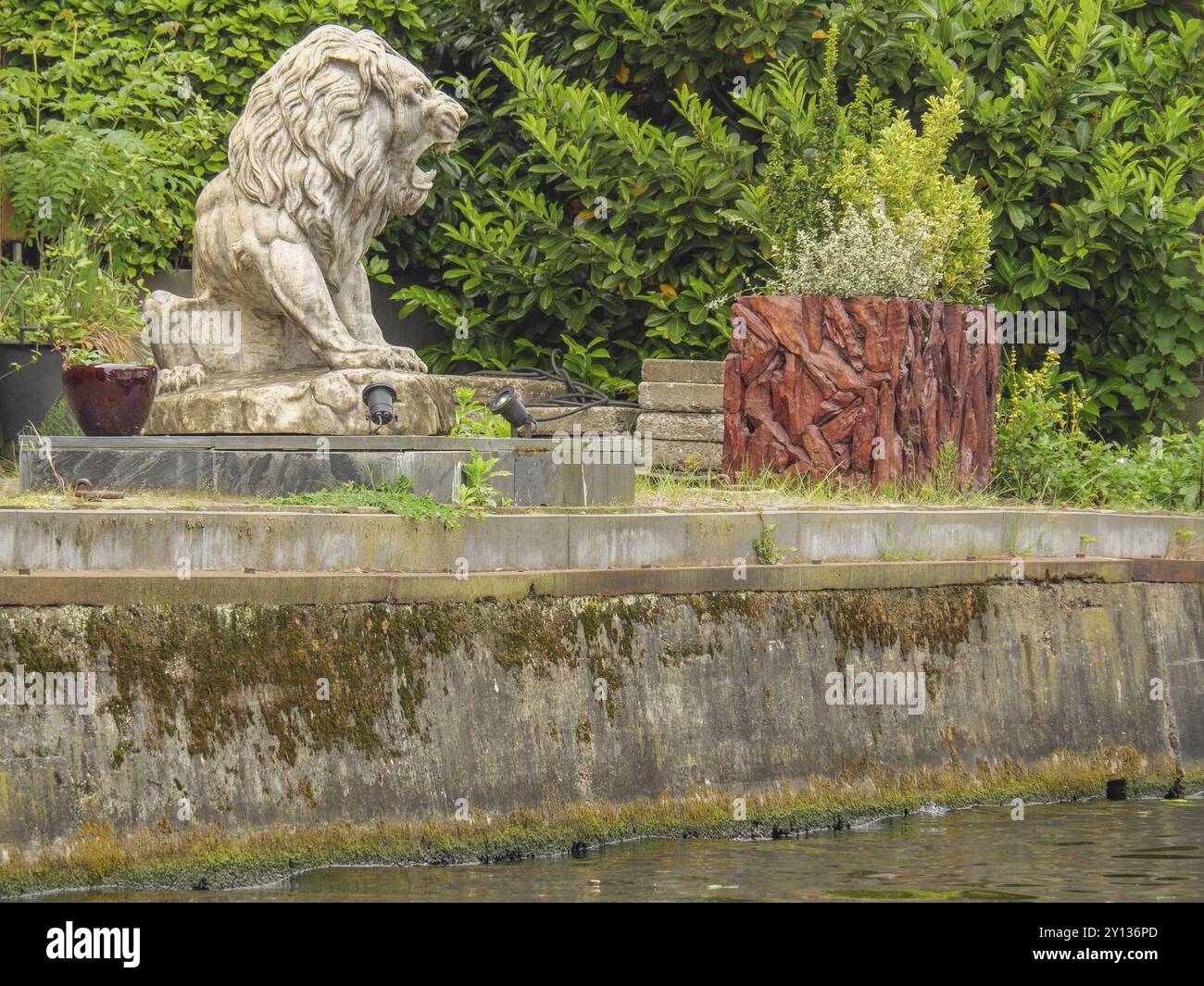 Löwenstatue in einem grünen Garten, umgeben von Pflanzen und einer Steinmauer, Leiden, Niederlande Stockfoto