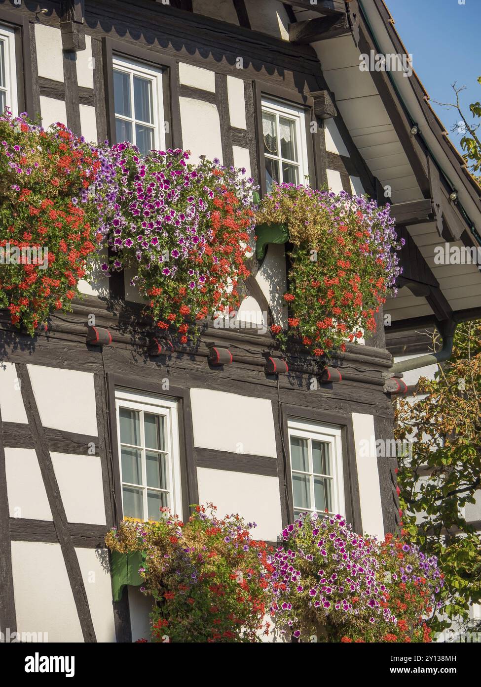 Ein prächtiges Fachwerkhaus mit reich verzierten Blumenkästen an den Fenstern, Schwarzwald, Bade-Württemberg, Deutschland, Europa Stockfoto