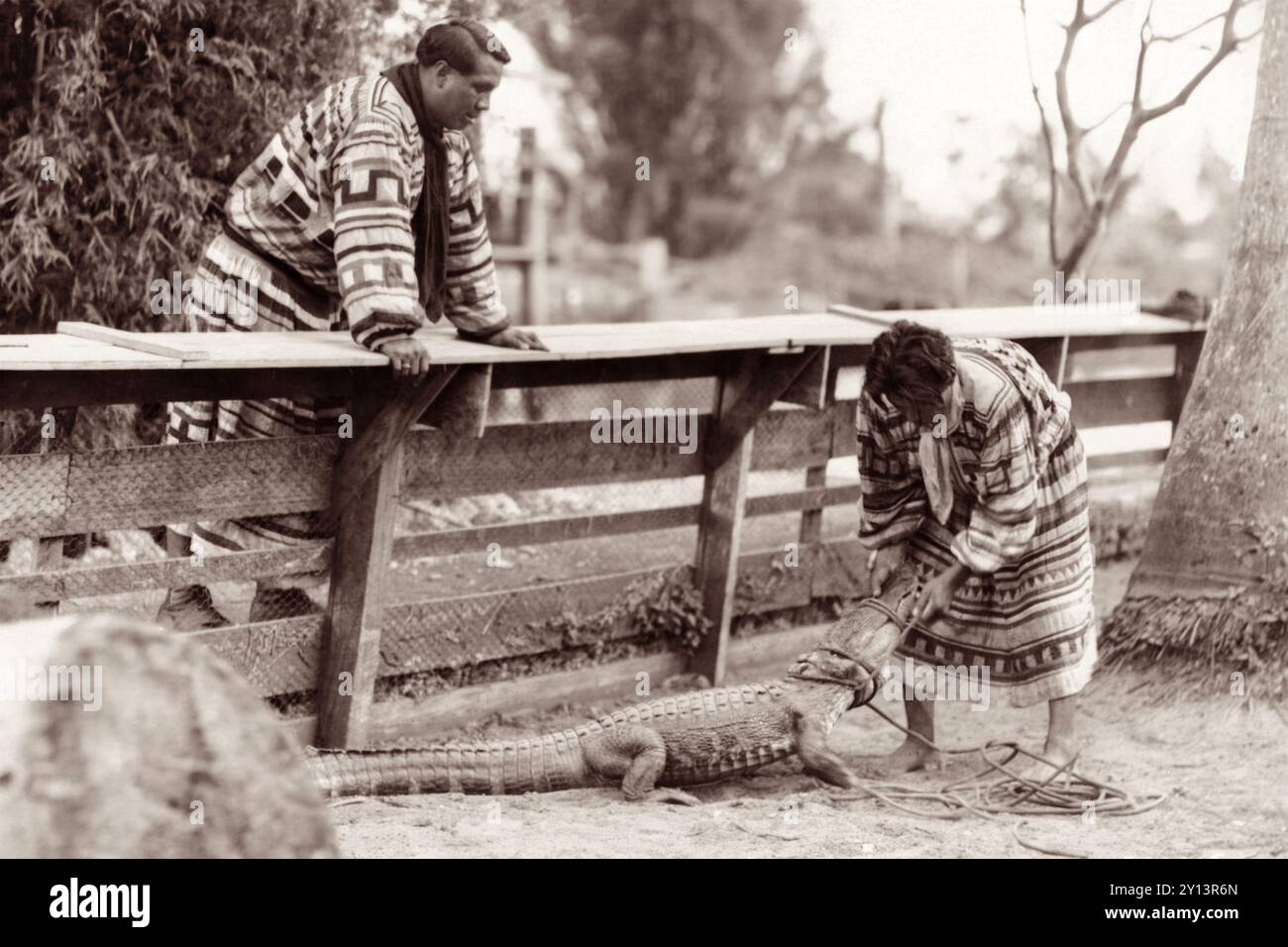 Die Seminole-Indianer Henry 'Cowboy' Billie (L) und Tony Tommie (R) ließen am 15. Februar 1927 einen gefangenen Alligator in einem Stift im Musa Isle Seminole Indian Village in Miami, Florida, frei. (USA) Stockfoto