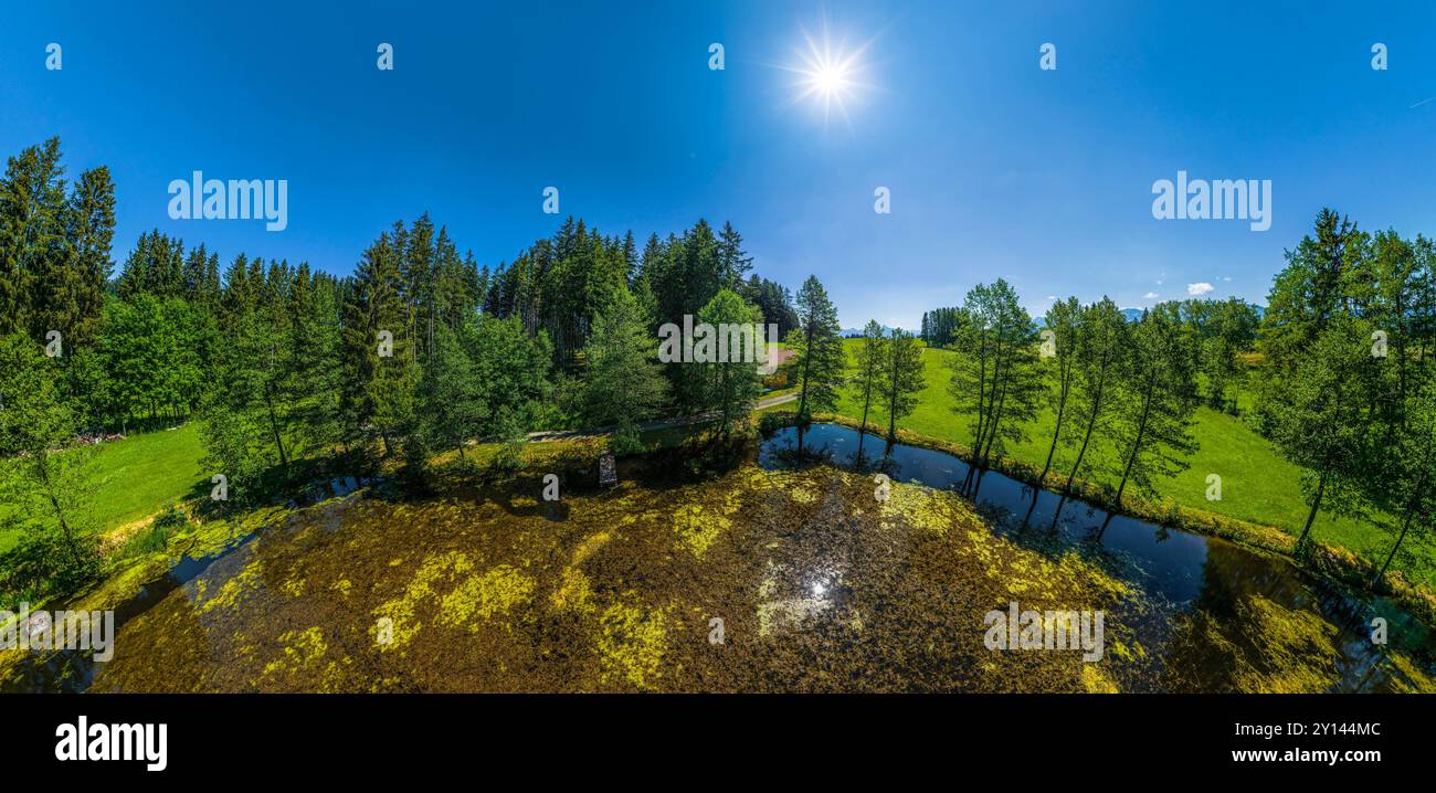 Blick auf einen kleinen Moorteich bei Goldhasen zwischen Rückholz und Seeg Stockfoto