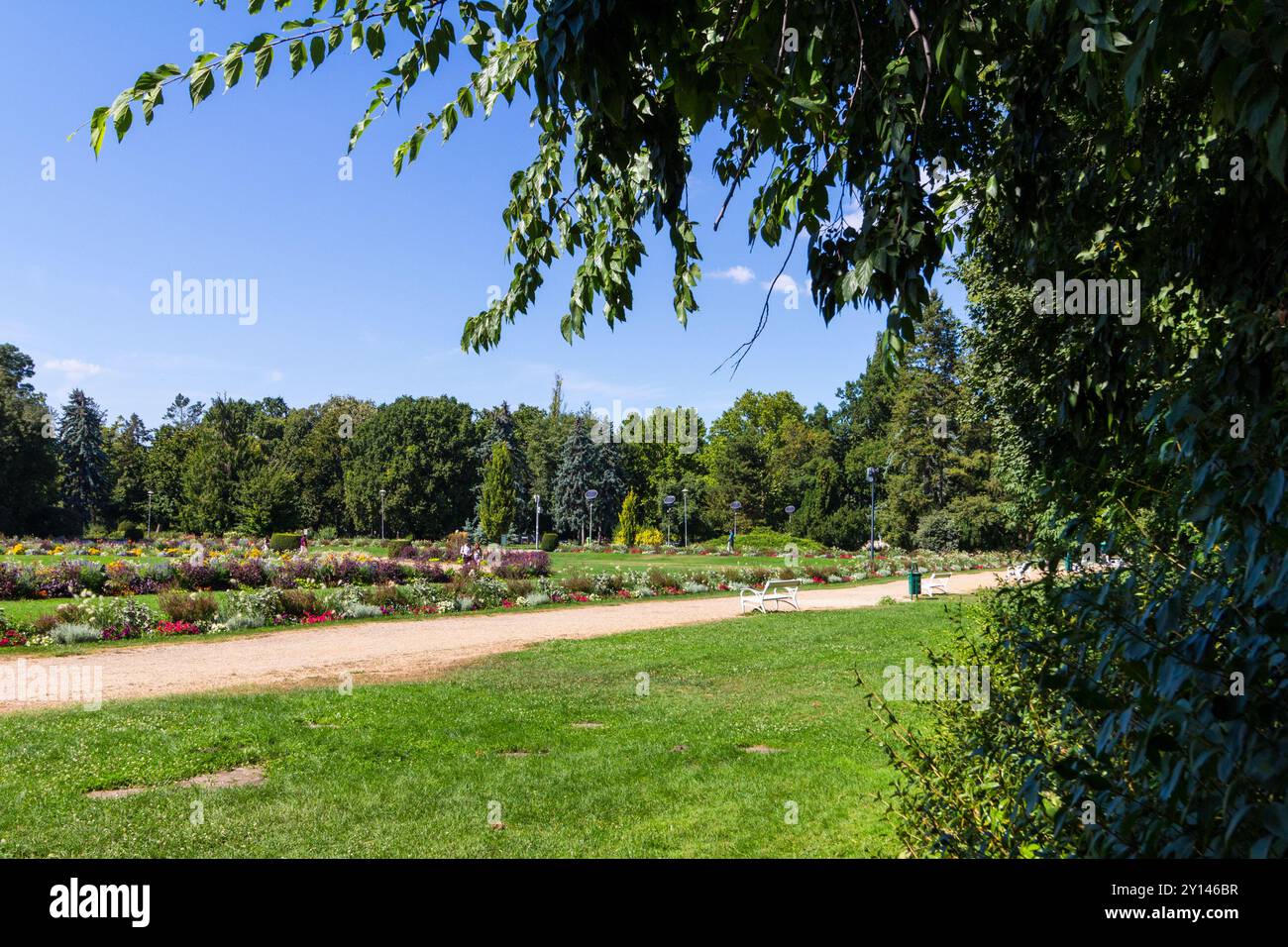 Park, Margareteninsel (Margit-sziget), Budapest, Ungarn Stockfoto