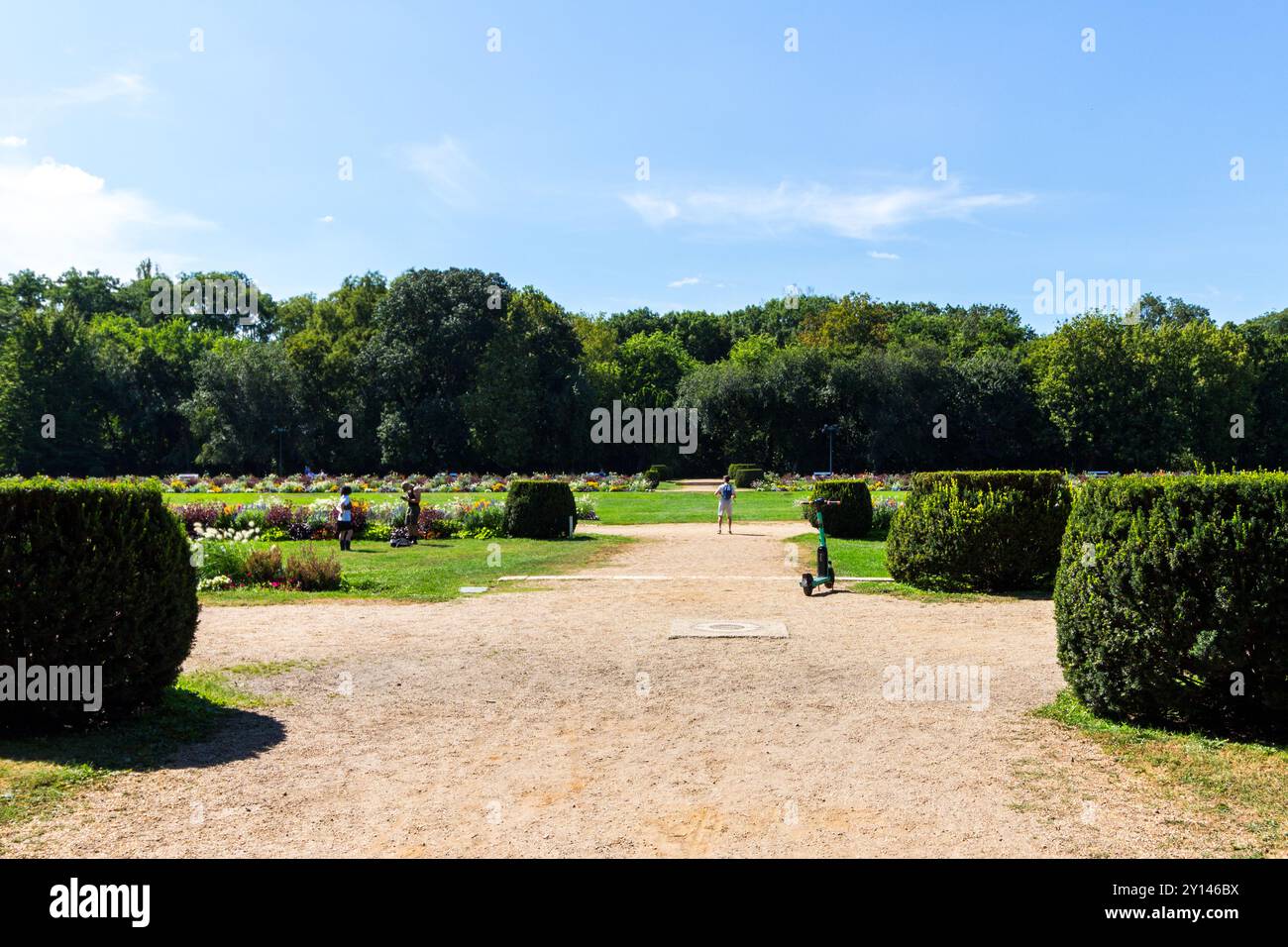 Park, Margareteninsel (Margit-sziget), Budapest, Ungarn Stockfoto