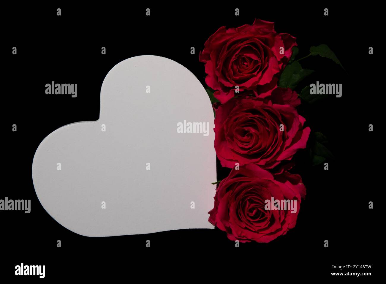 In der Mitte des Rahmens befindet sich ein weißes Herz mit drei leuchtend roten Rosen auf der rechten Seite. Stockfoto
