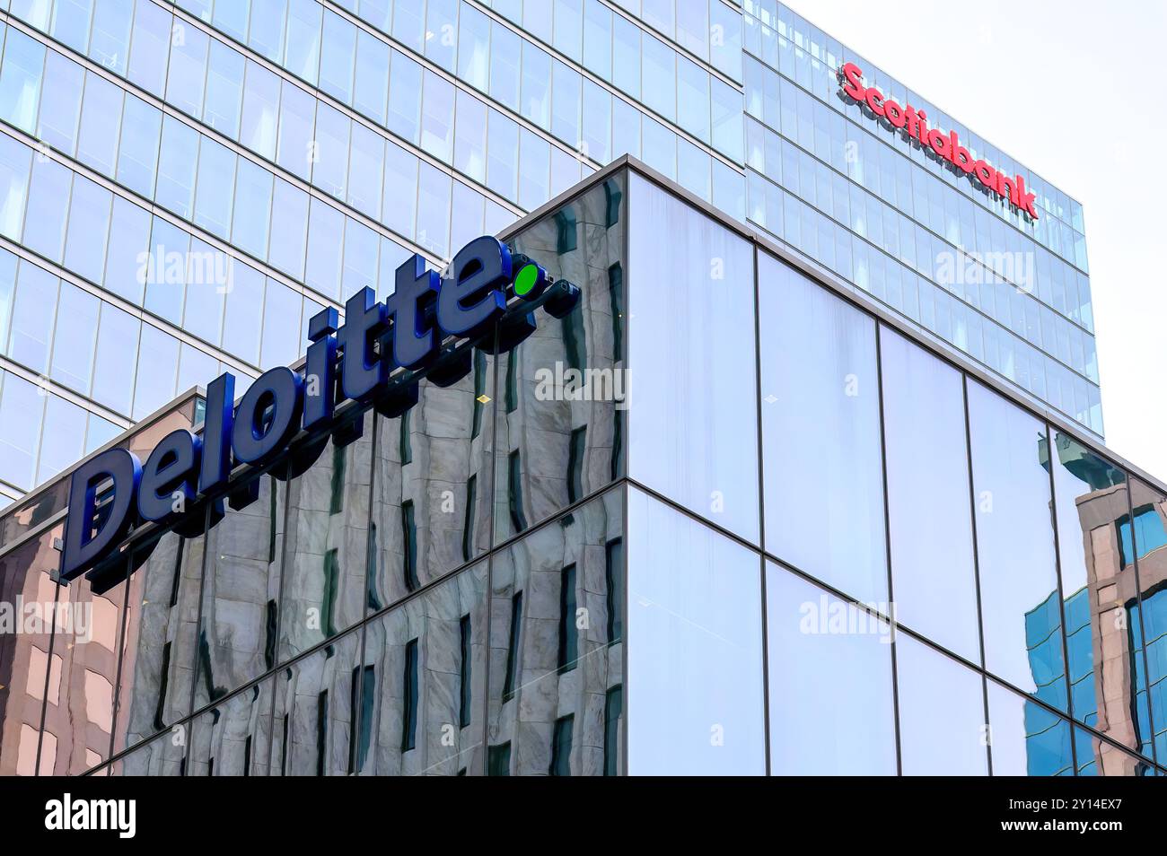 Toronto, Kanada - 2. September 2024: Schilder für Deloitte und Scotiabank auf modernen Wolkenkratzern im Finanzviertel. Stockfoto
