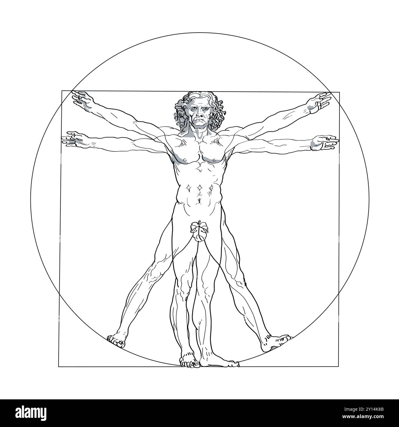 Vitruvianer, mit Feigenblatt. Darstellung vollkommener menschlicher Proportionen mit Natur, Kosmos und Geometrie. Ein Mann in der Mitte eines Kreises und Quadrats. Stockfoto