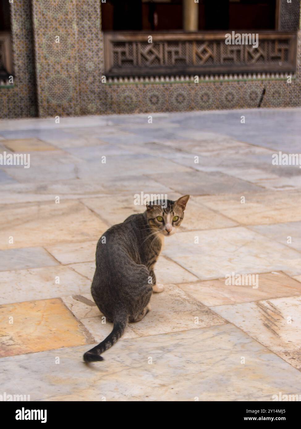 Innenhof der Medrassa El Bouanania in Fes Stockfoto