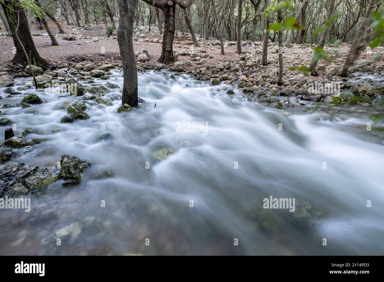 Fonts Ufanes Naturdenkmal, Gabellí Petit Anwesen, Campanet, Mallorca, Balearen, Spanien. Stockfoto