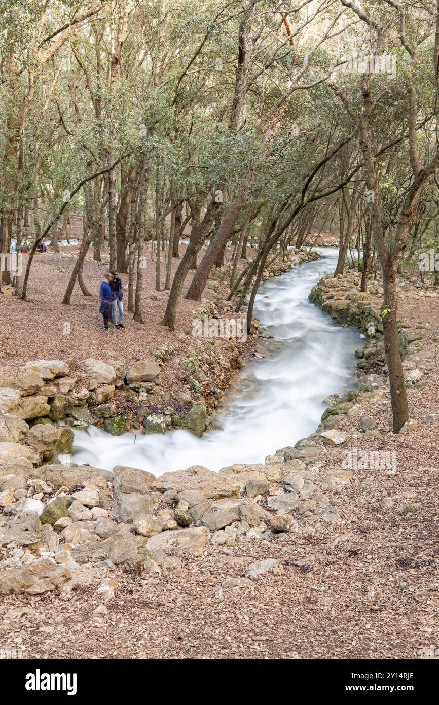 Fonts Ufanes Naturdenkmal, Gabellí Petit Anwesen, Campanet, Mallorca, Balearen, Spanien. Stockfoto