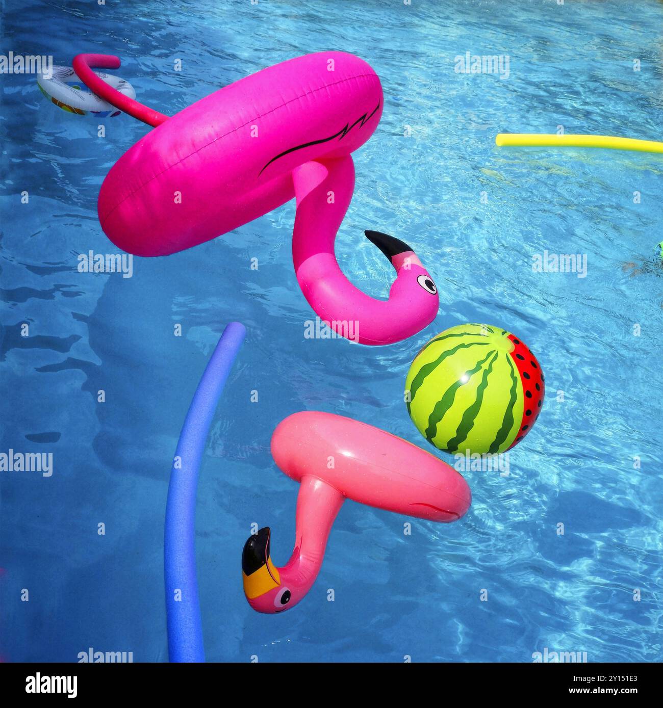 Farbenfrohe aufblasbare Flamingos und Bälle, die während der Sommeraktivitäten in einem sonnigen Swimmingpool schwimmen Stockfoto