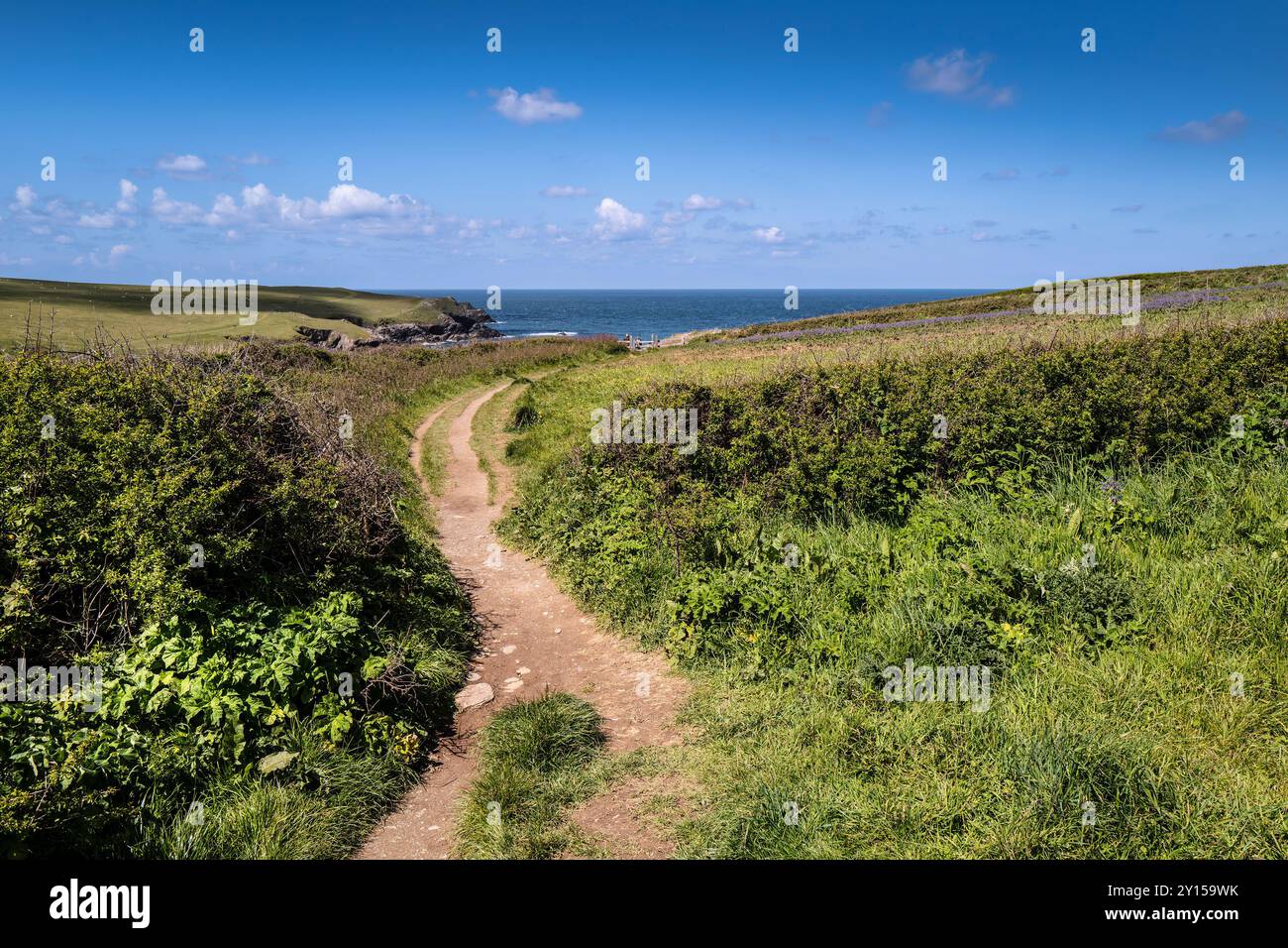 Der gut abgenutzte, raue Fußweg am Rande eines Feldes auf Ackerland in West Pentire an der Küste von Newquay in Cornwall in Großbritannien. Stockfoto