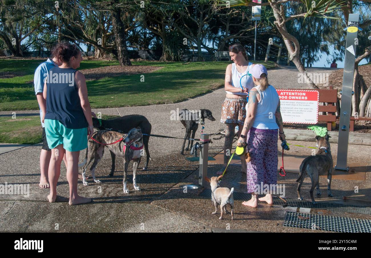 Hundewaschstation in Dicky Beach, Sunshine Coast, Queensland Stockfoto