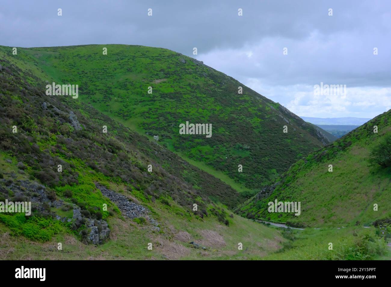 Rolling Hills im Carding Milly Valley Stockfoto