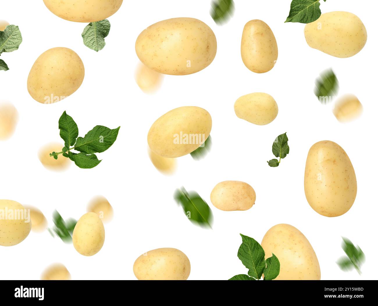 Frische Kartoffeln und grüne Blätter in der Luft auf weißem Hintergrund Stockfoto