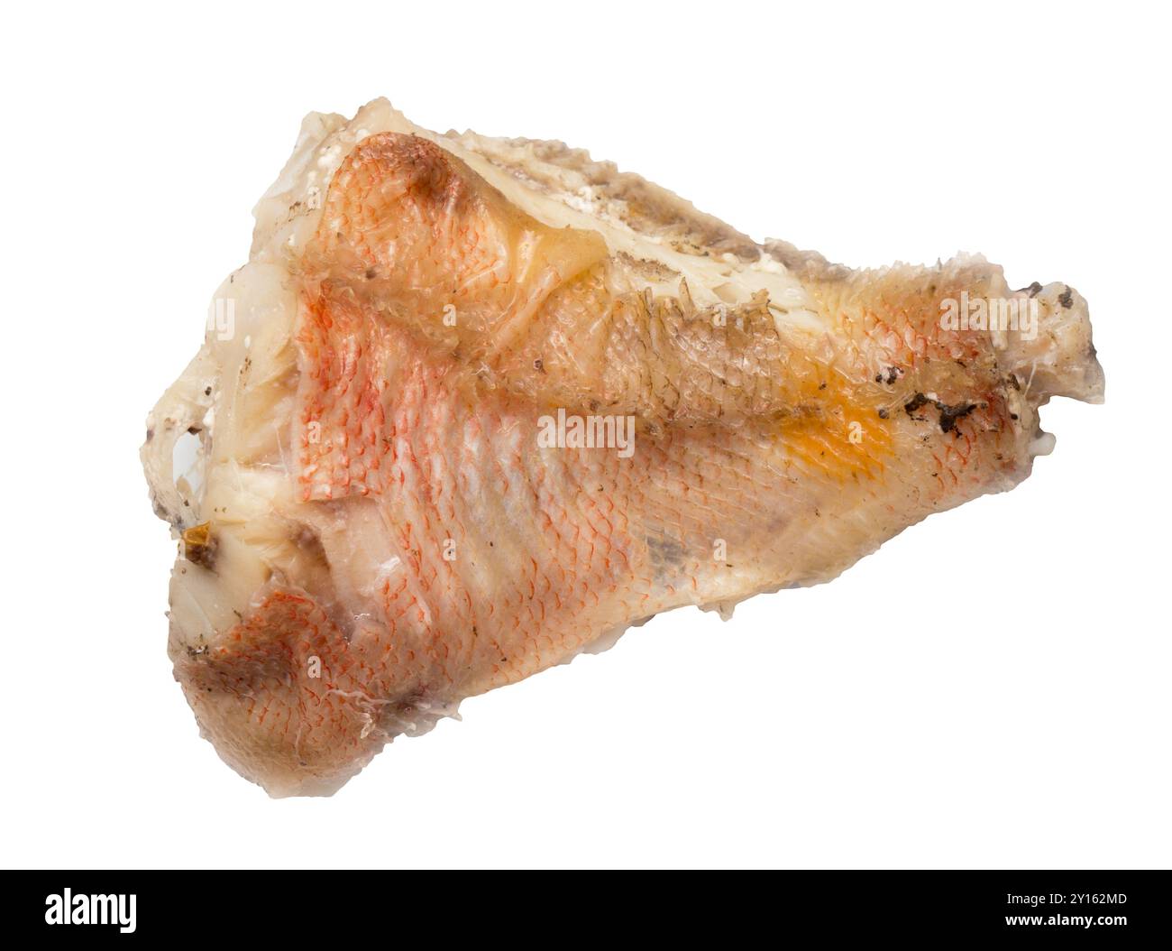 Ein Stück gebratener Fisch auf weißem Hintergrund. Stockfoto