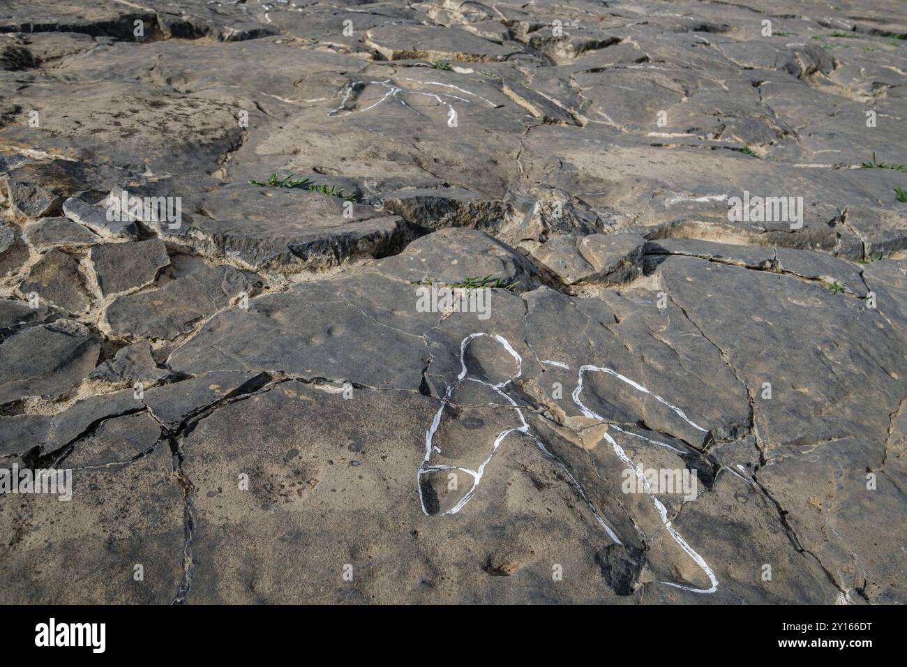 Dinosaurierspuren, die Peladillo-Ära-Ichnites-Deponie, Igea, La Rioja, Spanien, Europa. Stockfoto
