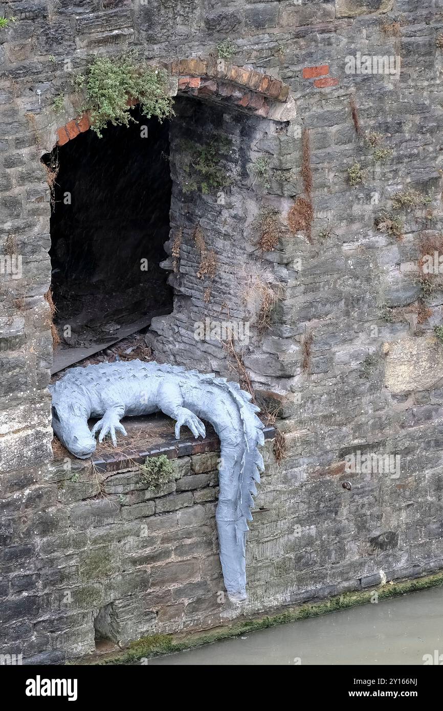 Bristol, Großbritannien. September 2024. Eine Krokodilskulptur wurde in einer Nische in der Hafenmauer in Bristol entdeckt. Ein Busfahrer von Bristol meldete 2014 erstmals ein Krokodil im Hafen, was im Laufe der Jahre zu weiteren Sichtungen und Warnschildern geführt hat. Quelle: JMF News/Alamy Live News Stockfoto