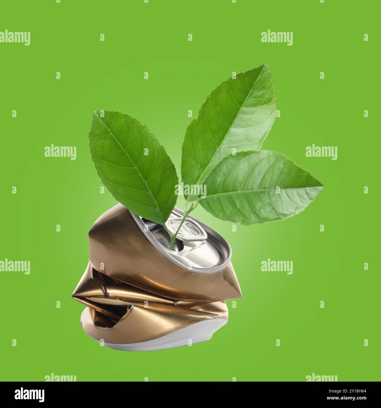 Sämling mit Blättern, die aus zerknitterter Dose auf grünem Hintergrund wachsen. Recycling Stockfoto