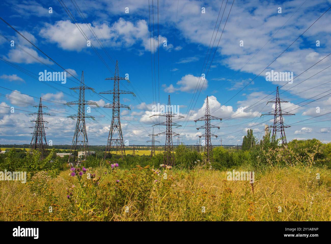 Stromleitung mitten auf einem Sommerfeld Stockfoto