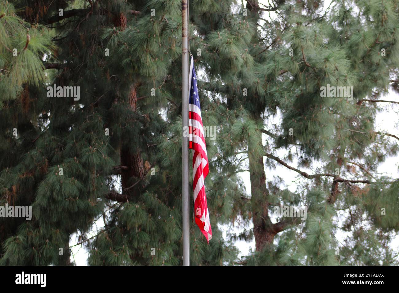 US-amerikanische Flagge auf dem Pfosten Stockfoto