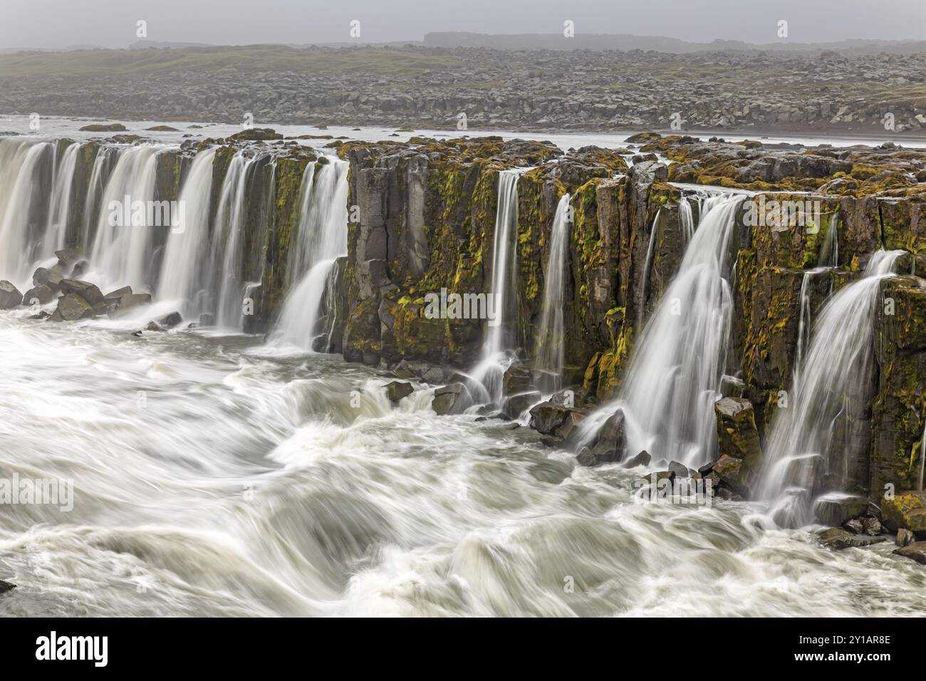 Wasserfall an einem Fluss, Wasserfälle, Sprühnebel, Stromschnellen, Sommer, Nebel, Selfoss, Nordisland, Island, Europa Stockfoto