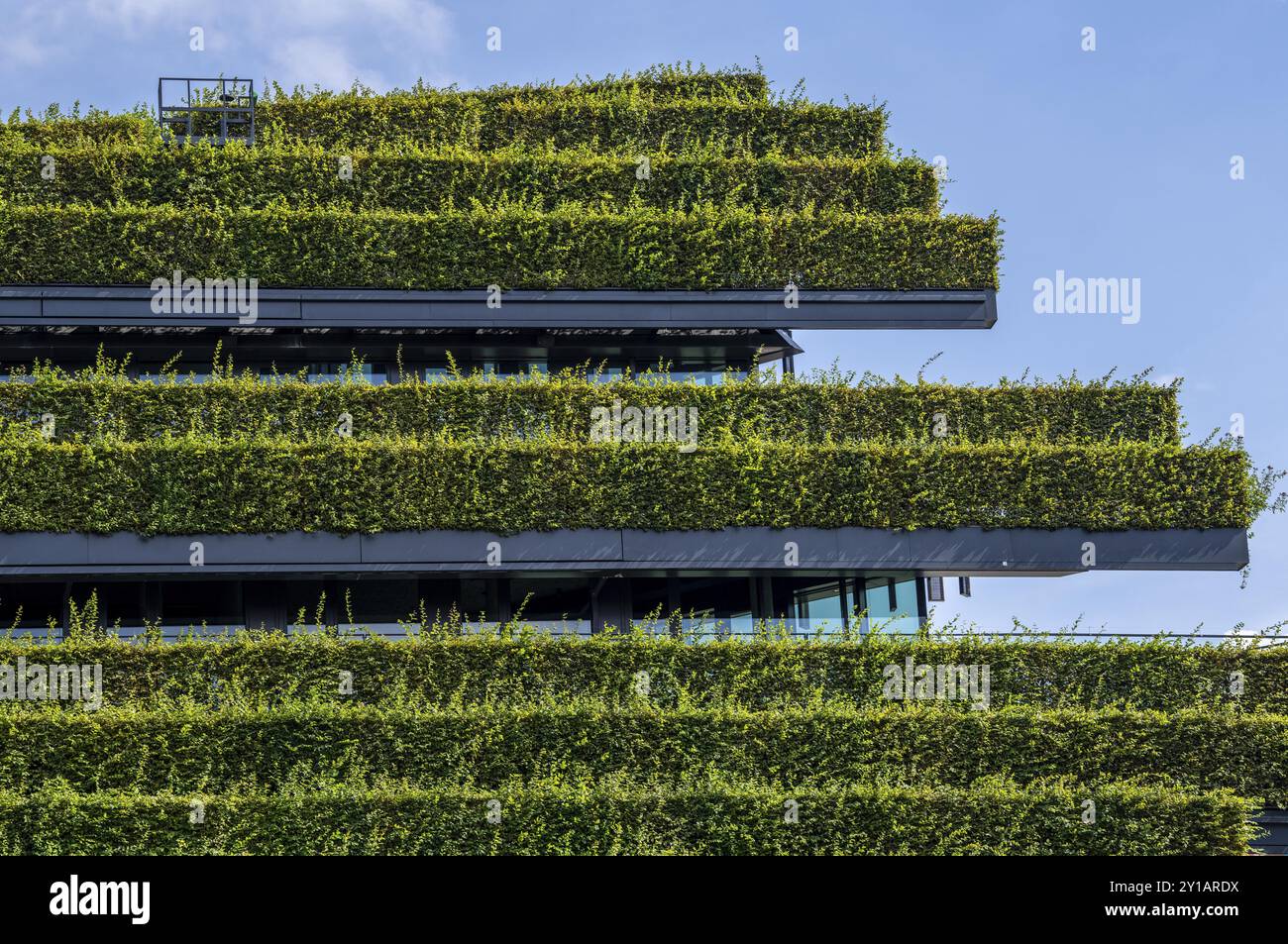 Grüne Fassade, bestehend aus über 30, 000 Hainbuken, die eine gut 8 Kilometer lange Hecke bilden, auf dem Dach und der Fassade des Koe-Bogen-2-Gebäudes Stockfoto