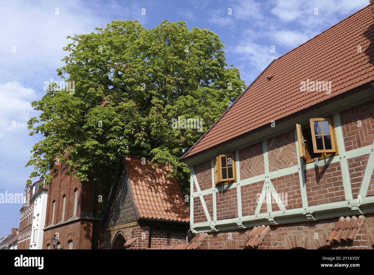 Heiliger Geist Krankenhaus in Wismar Stockfoto