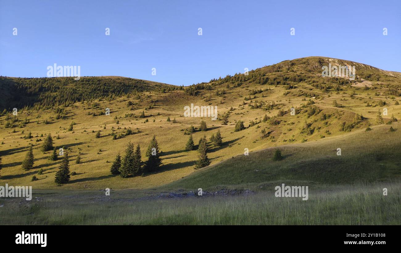 Parang-Gebirge, Südkarpaten, Rumänien, Europa Stockfoto