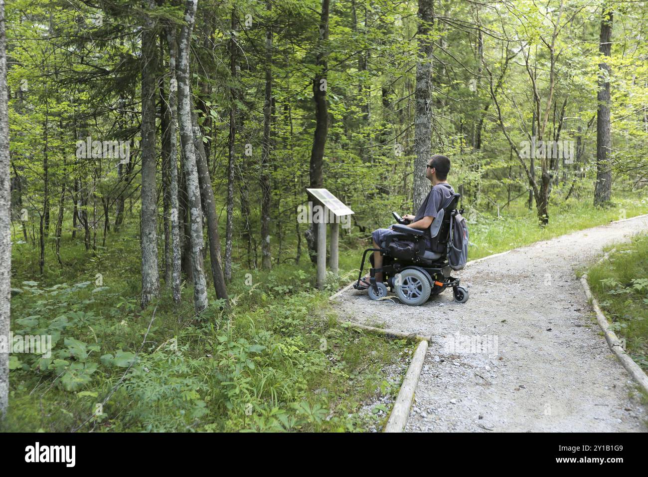 Glücklicher Mann auf Rollstuhl in der Natur. Erkunden Sie die Wildnis auf einem zugänglichen, unbefestigten Pfad Stockfoto