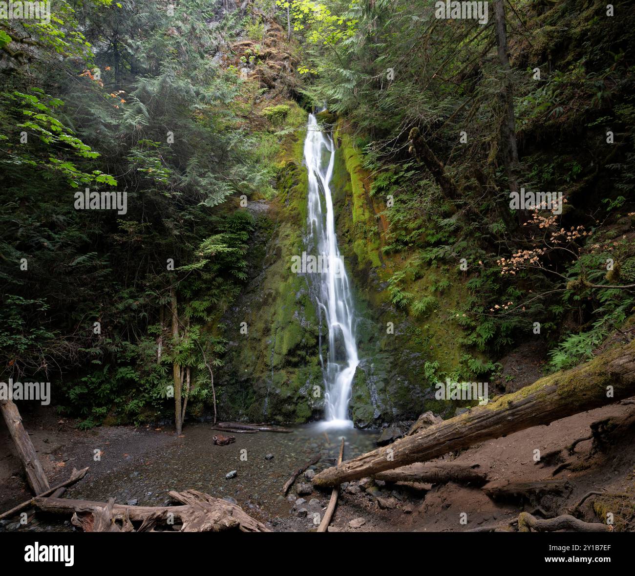 WA26031-00....WASHINGTON - Madison Falls im Elwha River Valley, Olympic National Park. Stockfoto