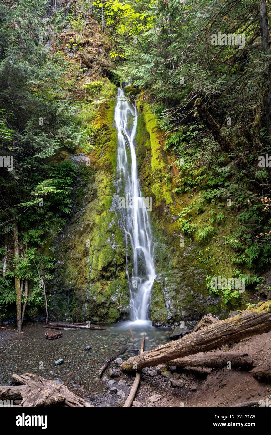 WA26032-00....WASHINGTON - Madison Falls im Elwha River Valley, Olympic National Park. Stockfoto
