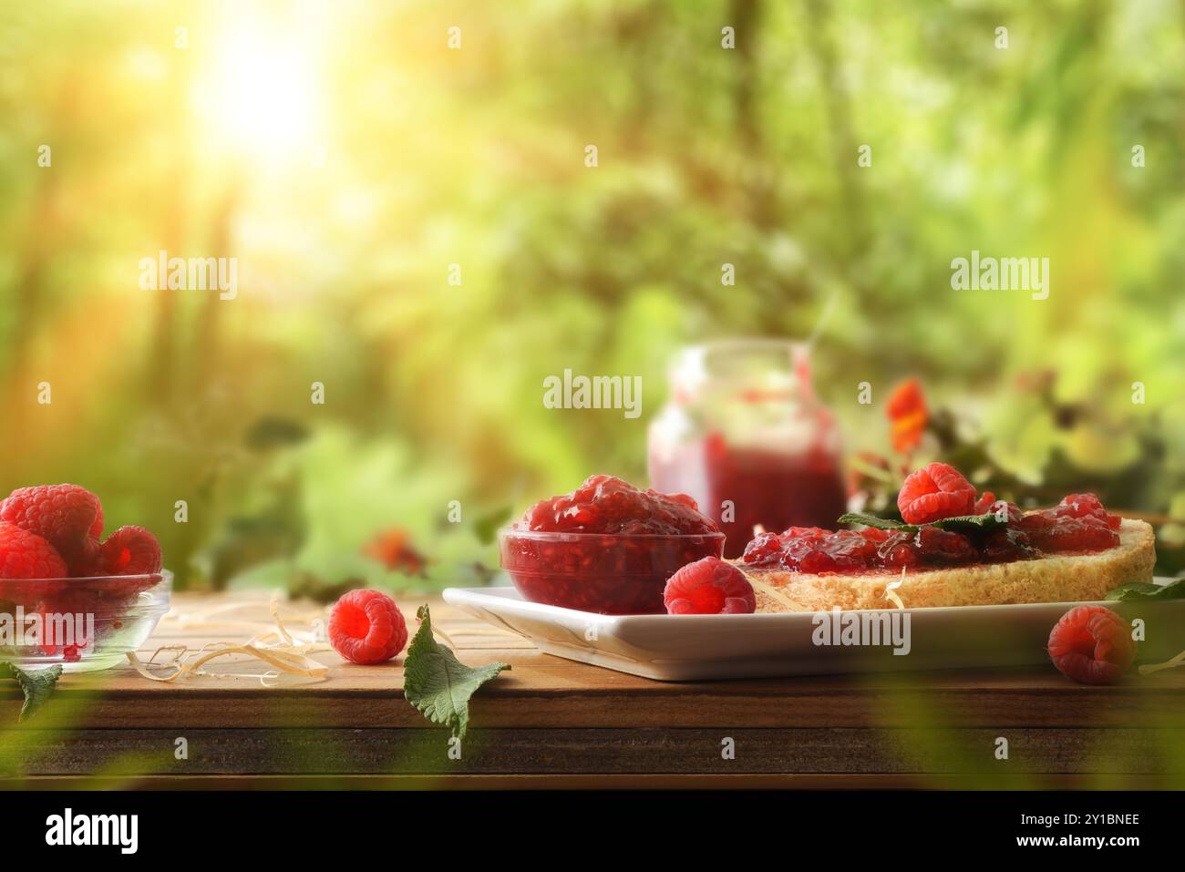 Hausgemachte Himbeermarmelade in Glasgläsern und Brotscheibe auf Holztisch und Naturhintergrund. Vorderansicht. Stockfoto