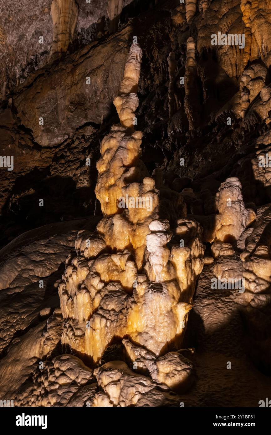 Stalagmite in der Postojna-Höhle (Slowenisch: Postojnska Jama) in Postojna, Slowenien. Stockfoto