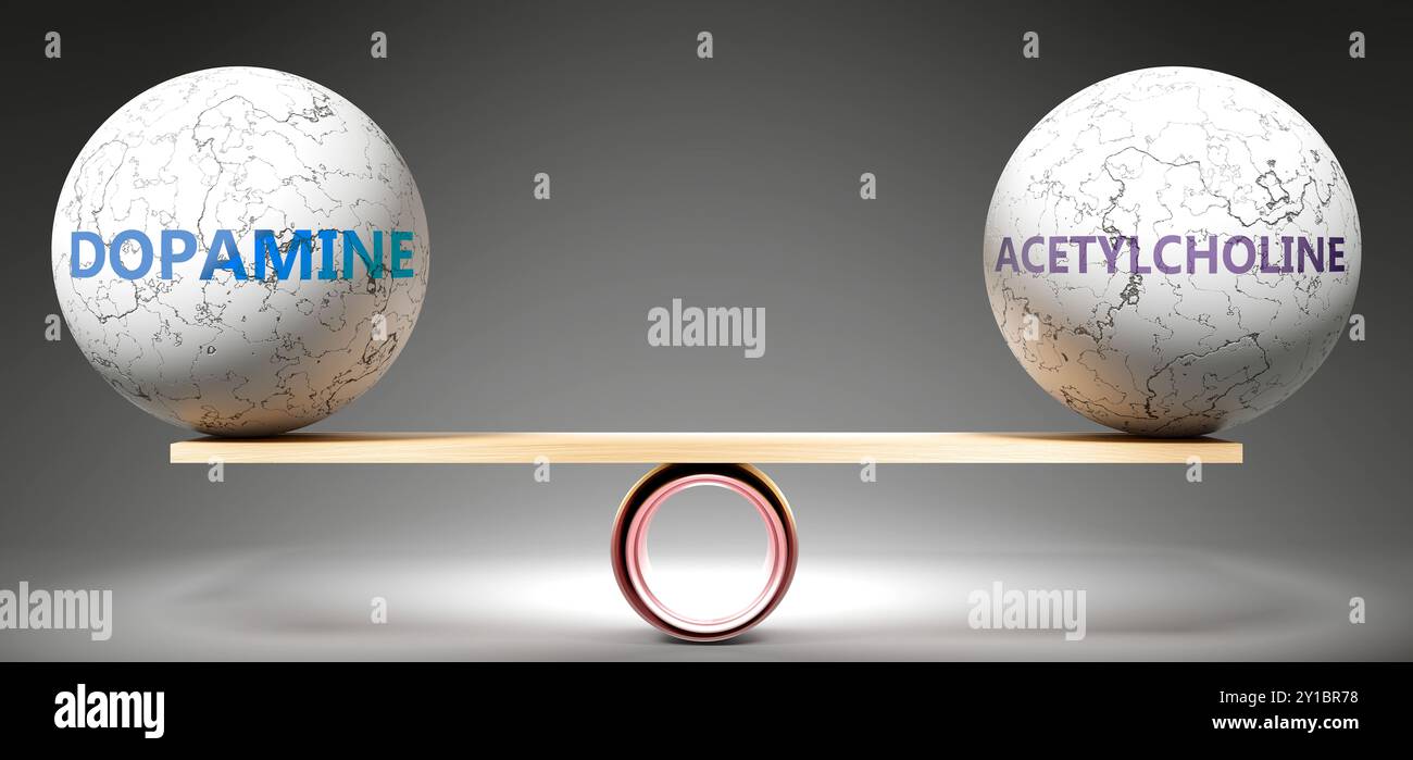 Dopamin und Acetylcholin im Gleichgewicht. Eine Metapher, die Dopamin im Gleichgewicht mit Acetylcholin zeigt und eine gewünschte Harmonie zwischen ihnen symbolisiert. Stab Stockfoto