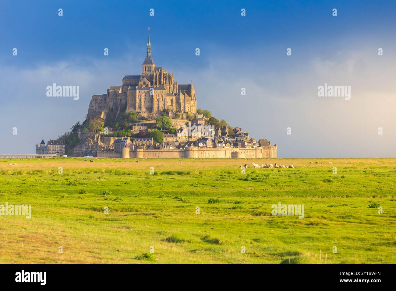 Blick auf Le Mont Saint Michel bei Sonnenaufgang. Normandie, Manche, Avranches, Pontorson, Frankreich, Westeuropa. Stockfoto