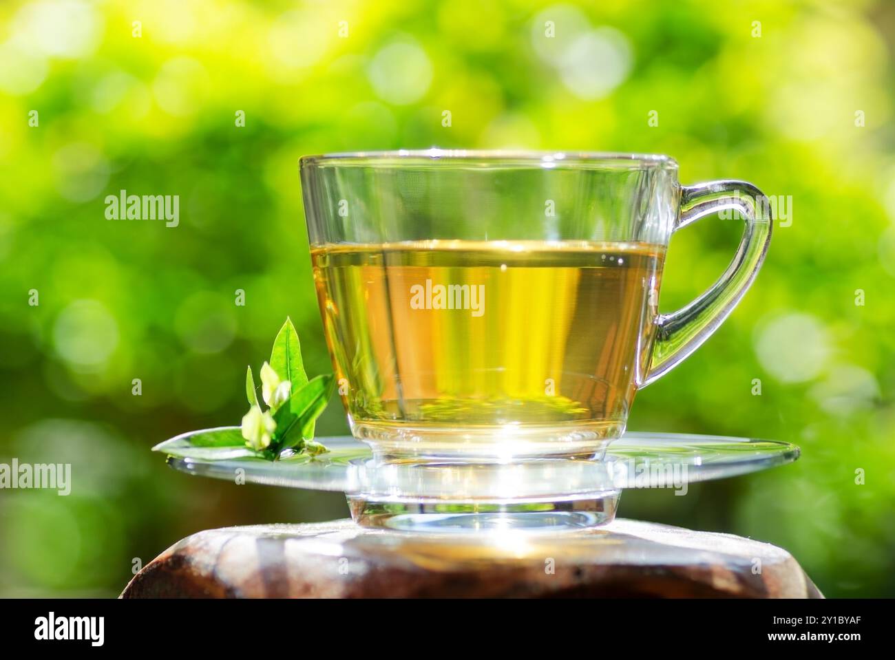Tasse Tee auf Naturhintergrund. Stockfoto