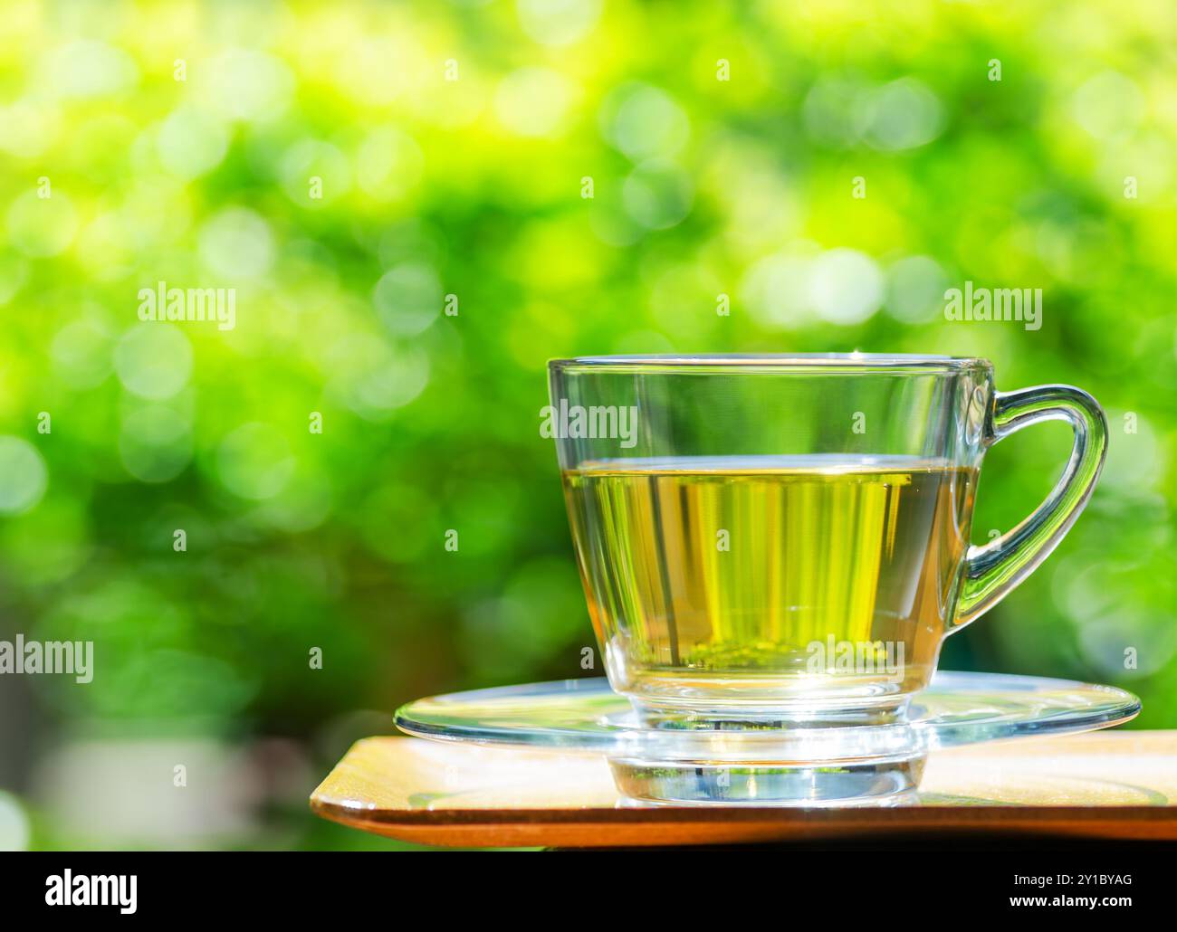 Tasse Tee auf Naturhintergrund. Stockfoto