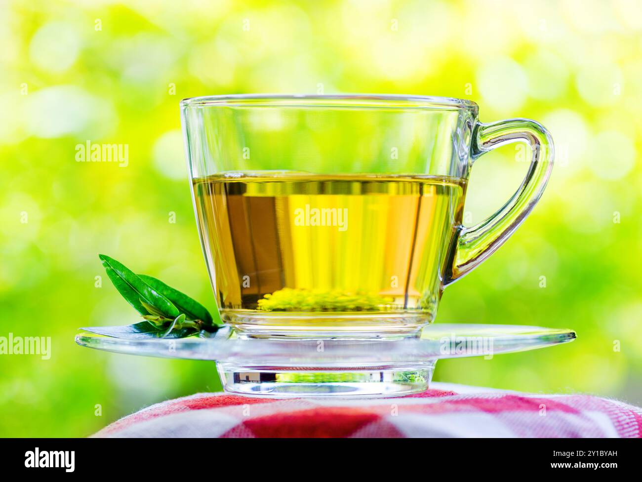 Tasse Tee auf Naturhintergrund. Stockfoto