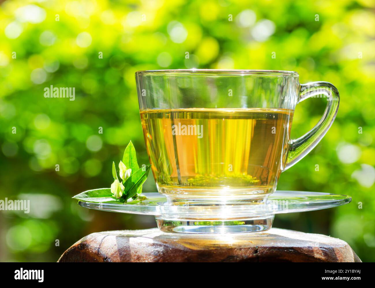 Tasse Tee auf Naturhintergrund. Stockfoto